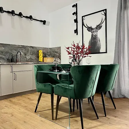 Maxa Czornyja Apartment *