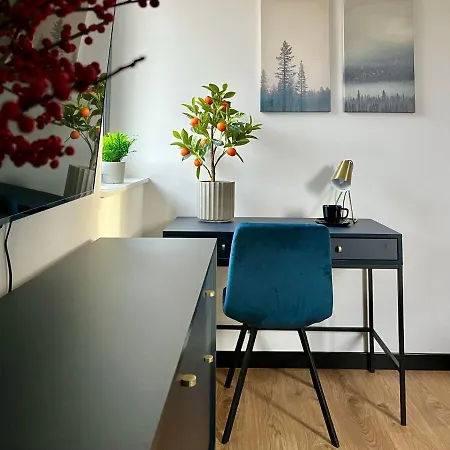 Maxa Czornyja Apartment *