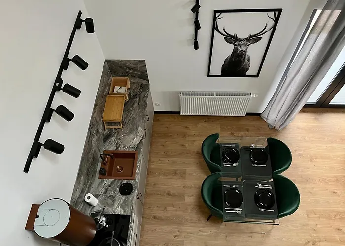 Apartament Maxa Czornyja