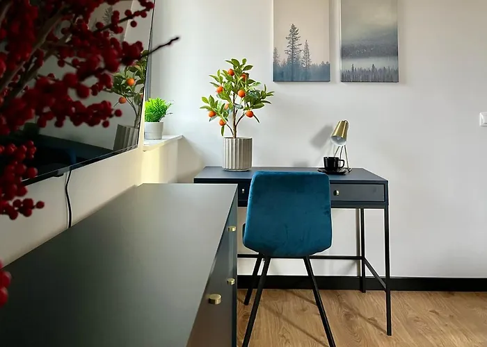 Maxa Czornyja Appartement *