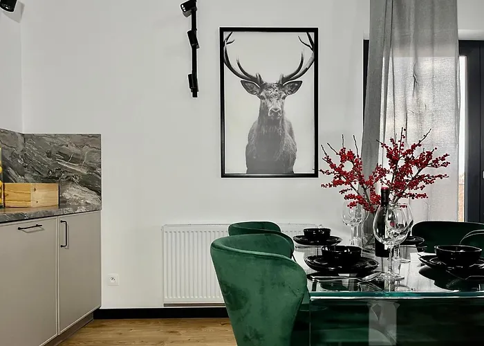 Maxa Czornyja Appartement Jelenia Góra